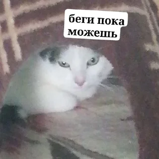 🌟 emoji Кузя Telegram sticker 8 of 9
