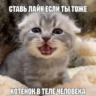 😇 emoji ппш няшки Telegram sticker 24 of 111