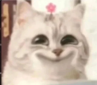 Sticker from кошки