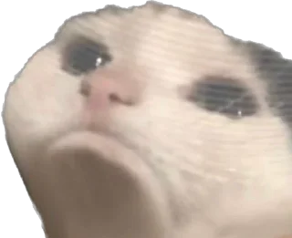 ☹️ emoji kotiki pesiku Telegram sticker 16 of 120
