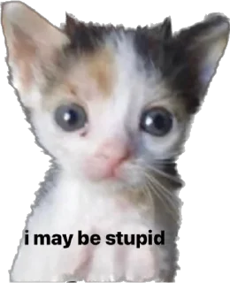 🥺 emoji kotiki pesiku Telegram sticker 21 of 120