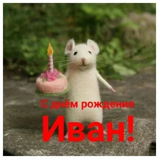 🌟 emoji рабака панки Telegram sticker 7 of 105