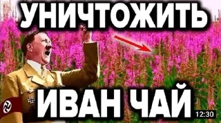 😳 emoji 7-8 иван чай Telegram sticker 7 of 84