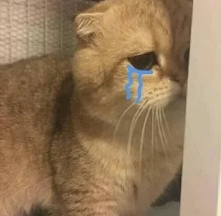 😭 emoji котомир,от @codxswag Telegram sticker 9 of 41