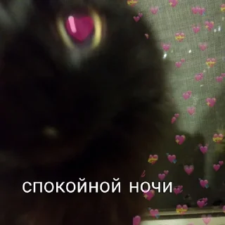 😍 emoji Стикеры от: Кот🚩 Telegram sticker 7 of 11