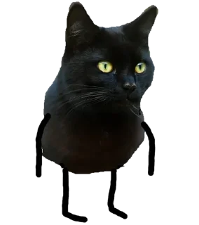 Sticker from Black Cat @stickersb2b