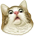 🐱 emoji Just zoo it! Telegram sticker 15 of 50