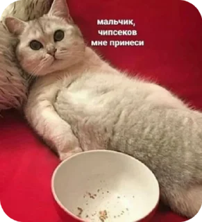 😈 emoji мысли snna Telegram sticker 21 of 47
