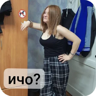 🧥 emoji диана черт Telegram sticker 24 of 33