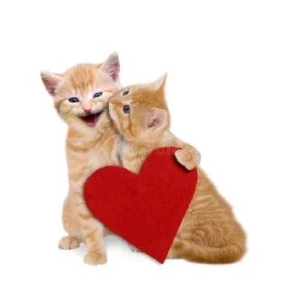 🌟 emoji собакоты ₍⸍⸌̣ʷ̣̫⸍̣⸌₎ Telegram sticker 11 of 65