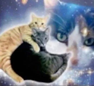 🌟 emoji собакоты ₍⸍⸌̣ʷ̣̫⸍̣⸌₎ Telegram sticker 18 of 65