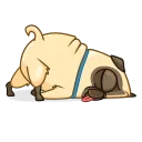 🛌 emoji Penny Pug Telegram sticker 19 of 22