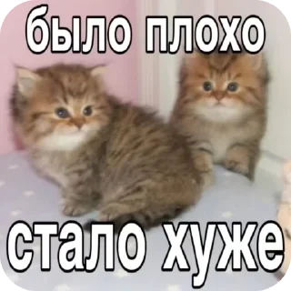 🌟 emoji Пакнатальи Telegram sticker 7 of 120