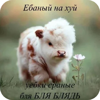 🖼 emoji Пакнатальи Telegram sticker 23 of 120