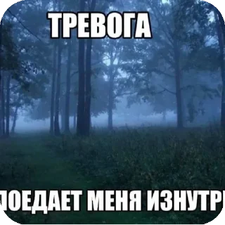 🌲 emoji Как я устала блччч Telegram sticker 14 of 63