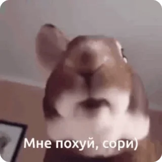 😴 emoji переговоры Telegram sticker 10 of 16