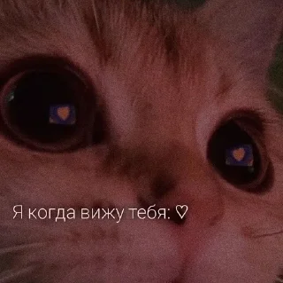 👨‍✈️ emoji Стикеры 👉 @animokubot Telegram sticker 16 of 56