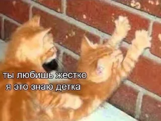 🌟 emoji япускаюповене Telegram sticker 6 of 37