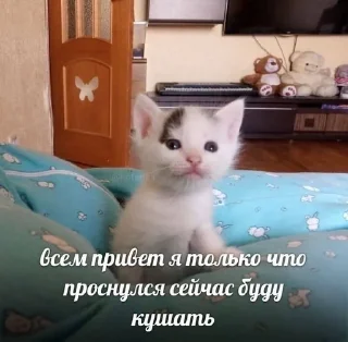 🌟 emoji япускаюповене Telegram sticker 9 of 37