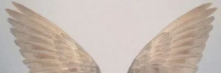 🦋 emoji 🦋 by y.kt Telegram sticker 8 of 14