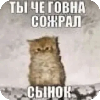 🖼 emoji Диалог гениев Telegram sticker 23 of 120