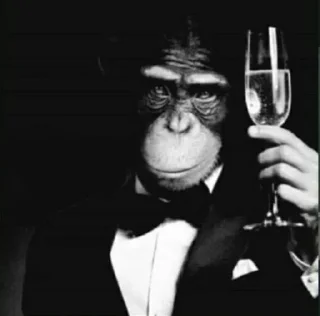 🐒 emoji KEL PACK Telegram sticker 16 of 71