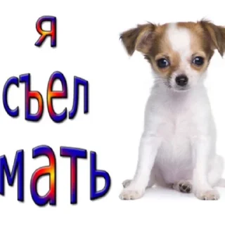 ❤️ emoji мили котики и пёсики Telegram sticker 15 of 22