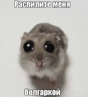😓 emoji Мили Telegram sticker 6 of 12