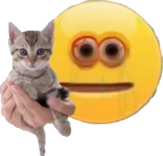 Sticker from пак от кто такая