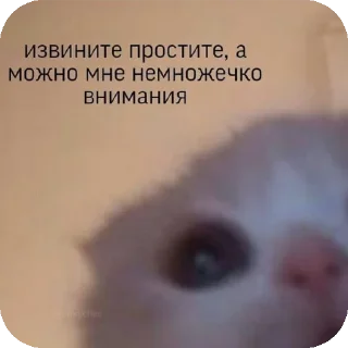 🥺 emoji Шиза Telegram sticker 5 of 99