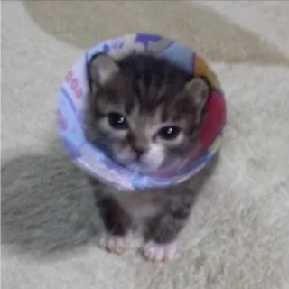 😡 emoji для души 1.1 Telegram sticker 23 of 26