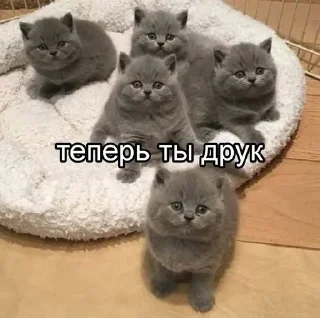 🌟 emoji для души 1.1 Telegram sticker 24 of 26