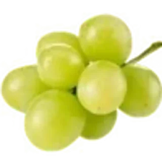 🌱 emoji зелёненький𓂃 от @miasku Telegram sticker 6 of 6