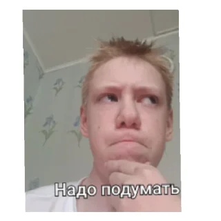 🤨 emoji Челик Telegram sticker 20 of 23