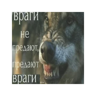 😡 emoji Волк Telegram sticker 6 of 15