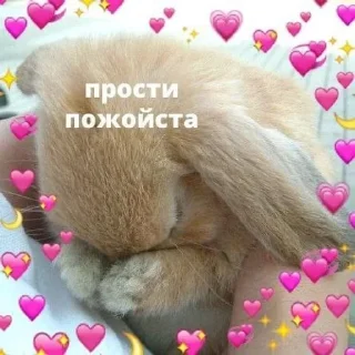 🌟 emoji Милота Telegram sticker 9 of 74