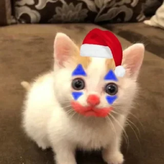🤡 emoji кити Telegram sticker 20 of 50