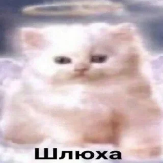 😦 emoji кити Telegram sticker 7 of 50