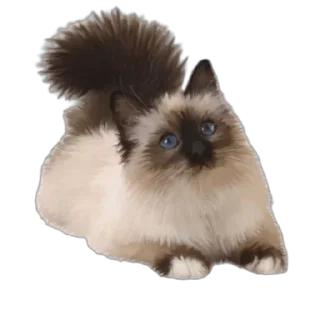 😻 emoji кити | @Stick4Gram Telegram sticker 8 of 24
