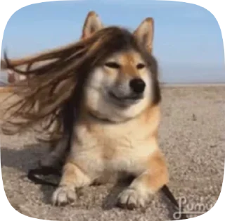 ⛈ emoji блин класс 2 Telegram sticker 22 of 116