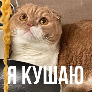 🍍 emoji Для важных переговоров Telegram sticker 5 of 14