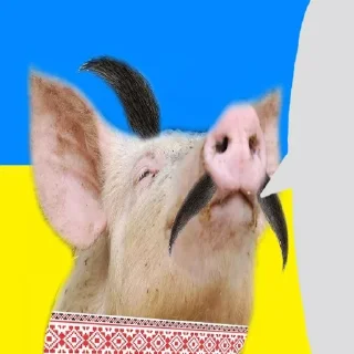 🇺🇦 emoji Свинопак Telegram sticker 15 of 18