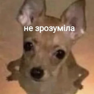 🤨 emoji емоції бандерівця by @inteakiss Telegram sticker 5 of 82