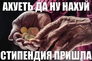 💶 emoji хуйня ярослава владимировича 3 @huynyayarika Telegram sticker 16 of 120