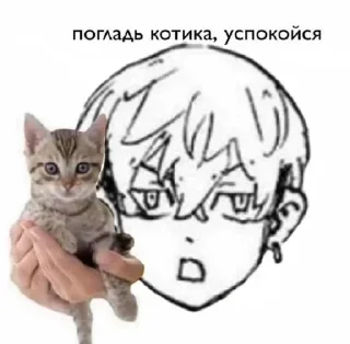 🌟 emoji ♡chifuyu matsuno @raikkirri Telegram sticker 23 of 59