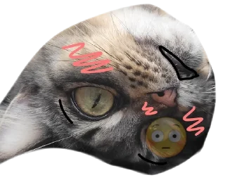 🌟 emoji Sheila🎀 Telegram sticker 14 of 25