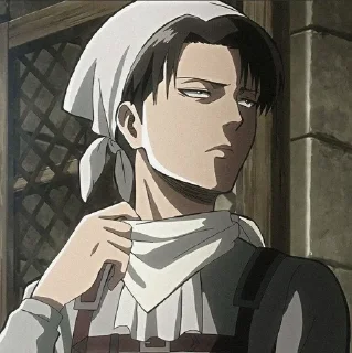 📸 emoji Levi Ackerman Telegram sticker 19 of 24