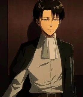 📸 emoji Levi Ackerman Telegram sticker 1 of 24