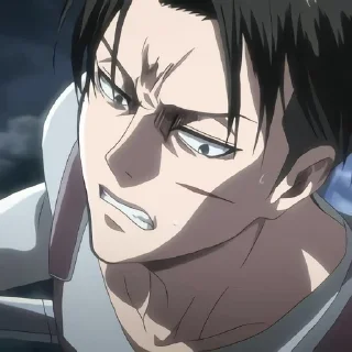 📸 emoji Levi Ackerman Telegram sticker 9 of 24