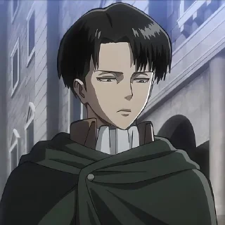 📸 emoji Levi Ackerman Telegram sticker 16 of 24